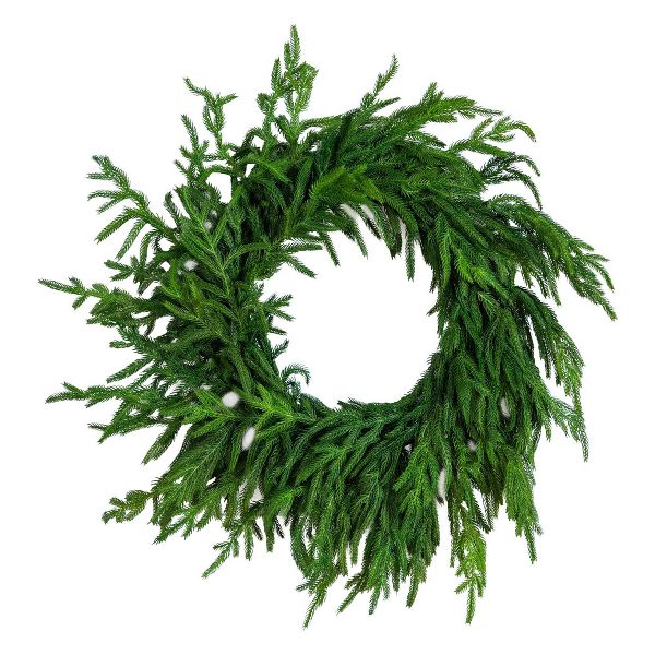 24" Norfolk Island Pine Wreath – Realistic Artificial Decor