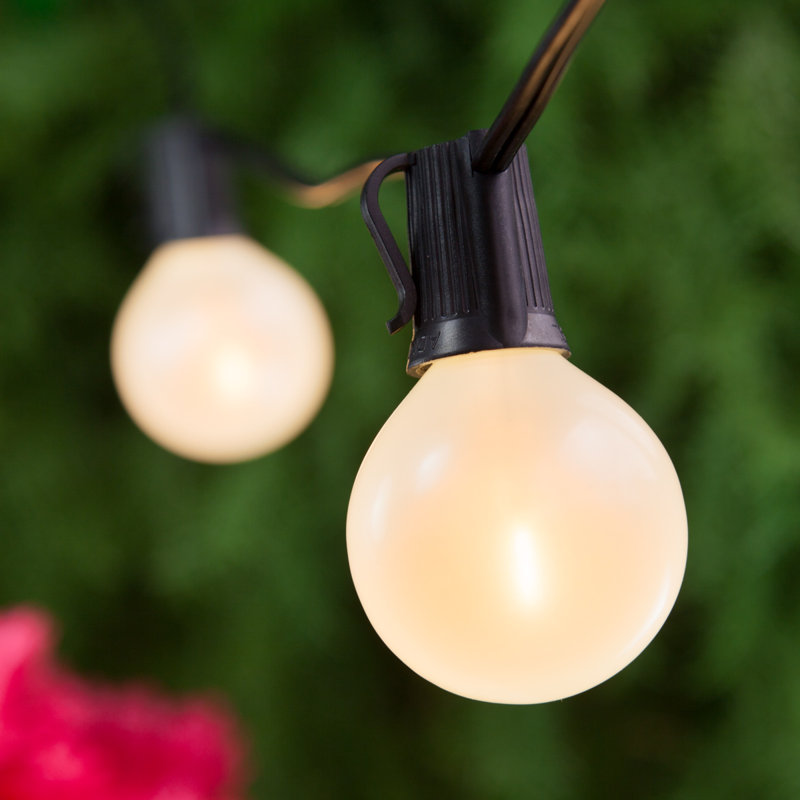 Globe Light Bulbs
