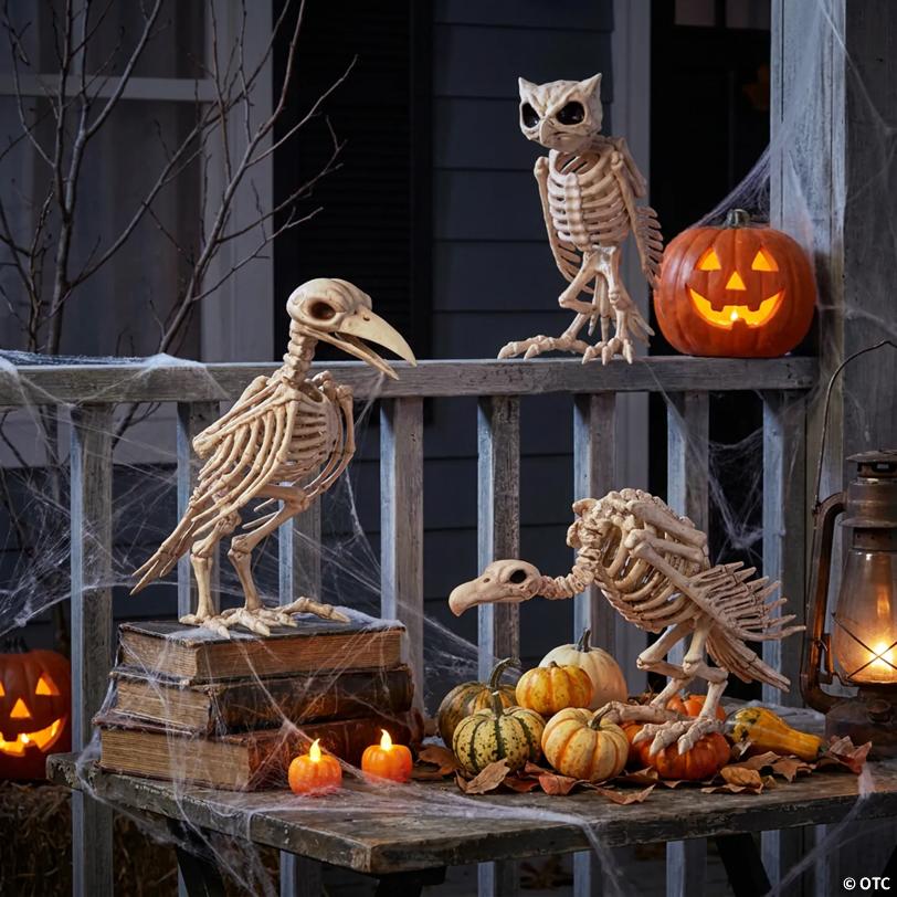 Halloween Bones & Beaks Skeleton Decorating Kit - 3 pc