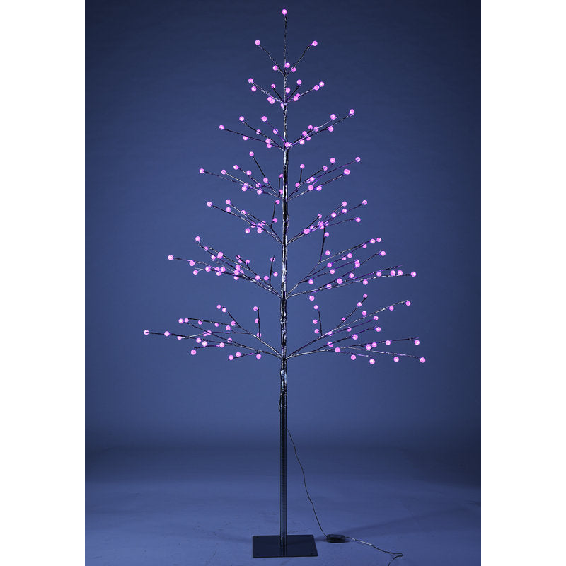 Holiday Lighting