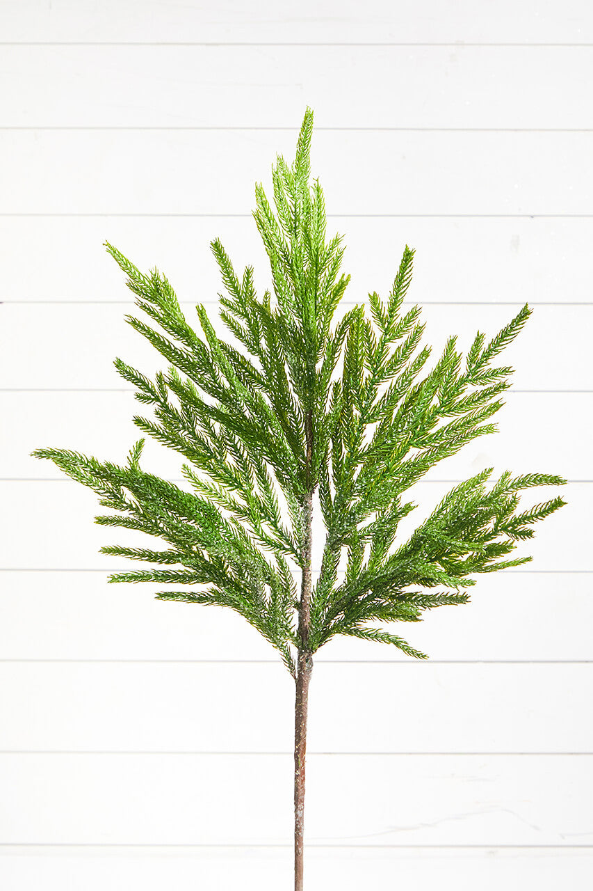 30” Iced Norfolk Pine Branch Spray for Winter and Holiday Arrangements