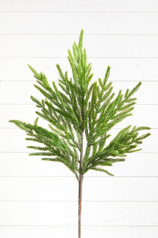 30” Iced Norfolk Pine Branch Spray for Winter and Holiday Arrangements