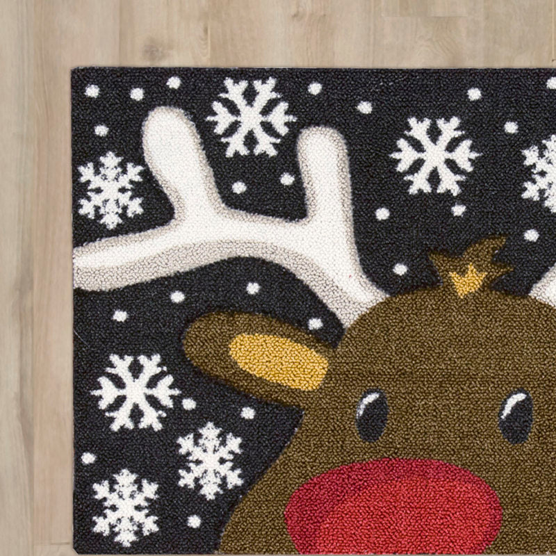 Indoor Rug