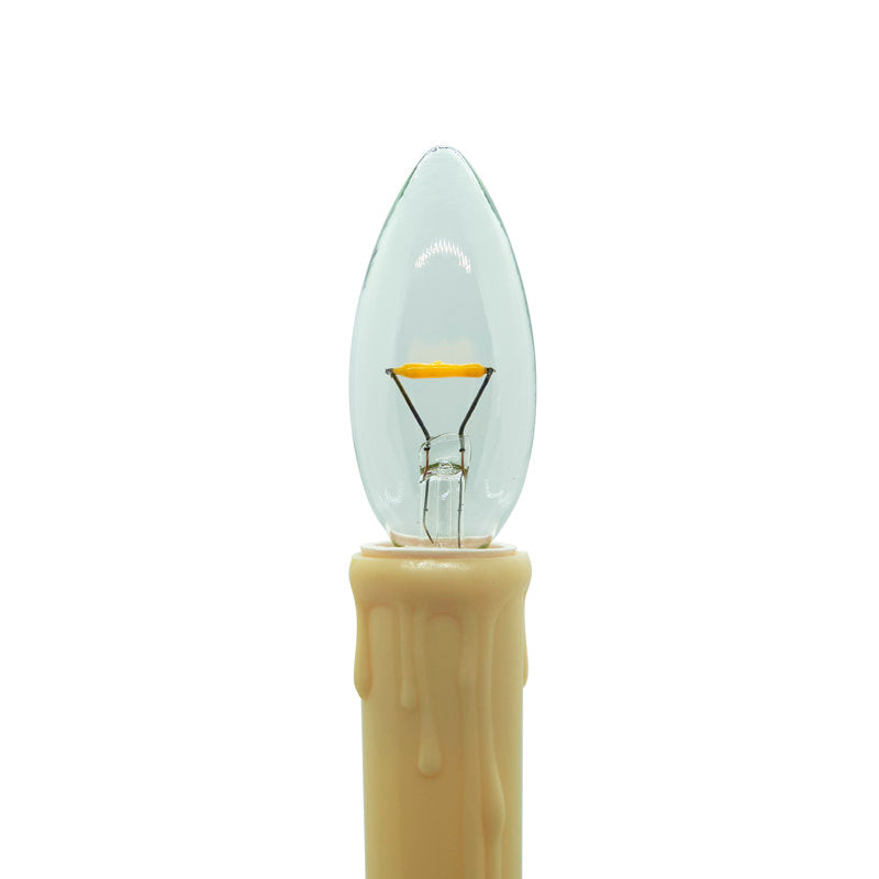 LED Holiday Lighting
