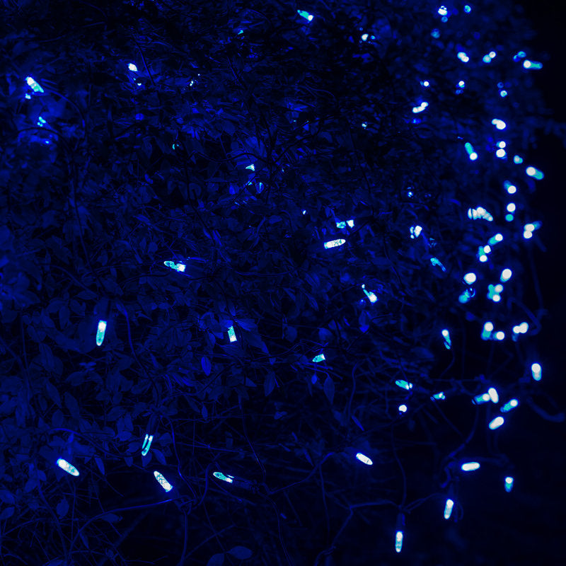 LED Net Lights
