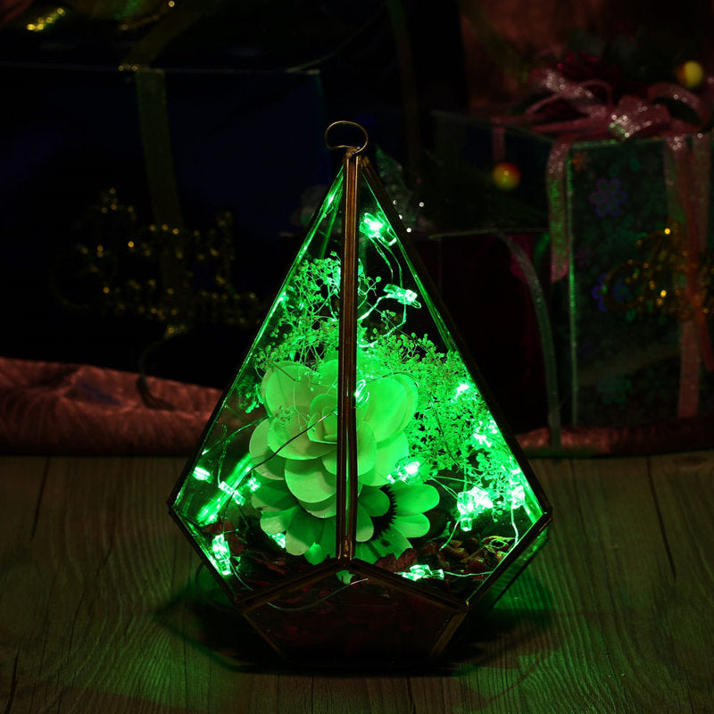LED String Lights