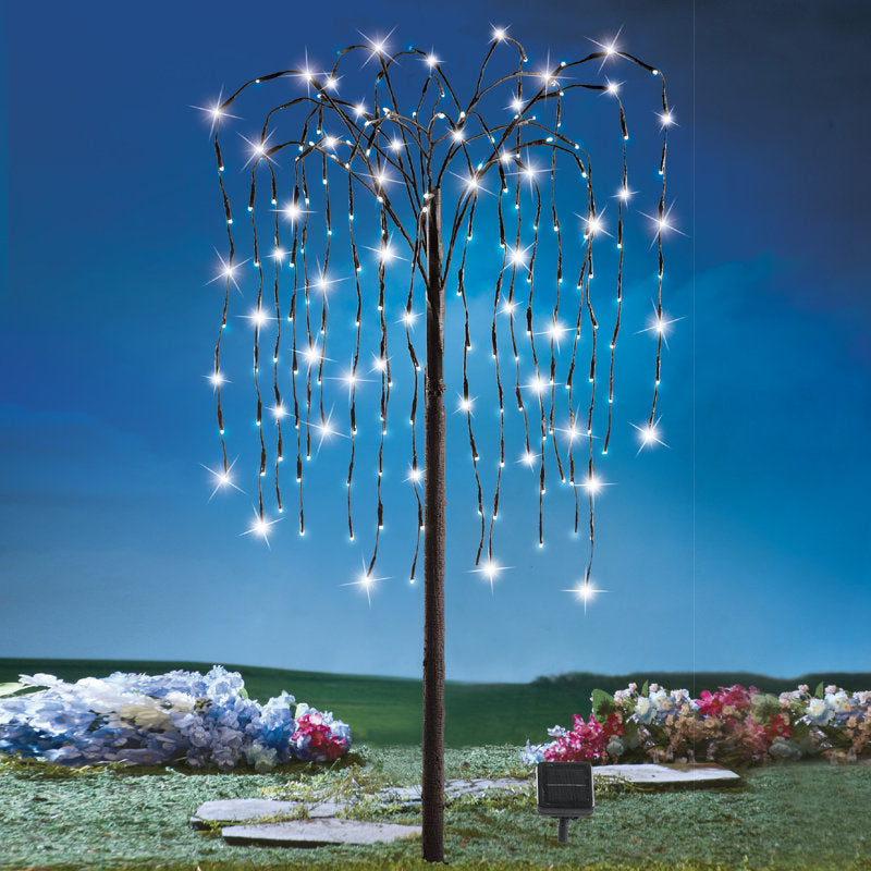 Lighted Trees & Branches