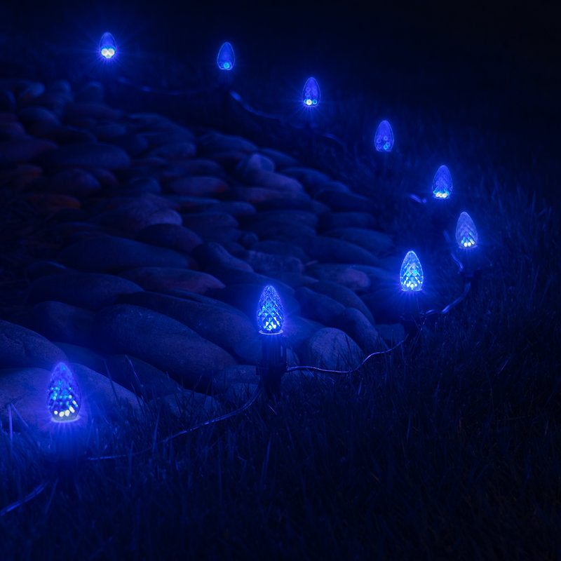Luminary & Pathway Lights