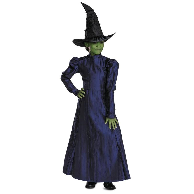 Toddler Deluxe Wicked Elphaba Purple Dress Costume