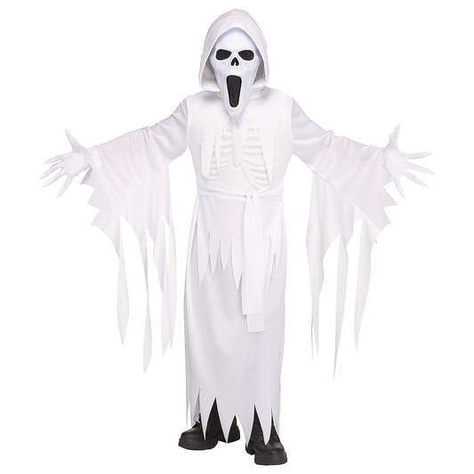 Kids The Banshee Ghost Costume