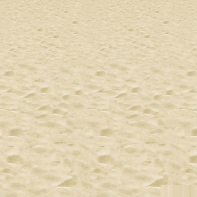 BEACH BACKDROP