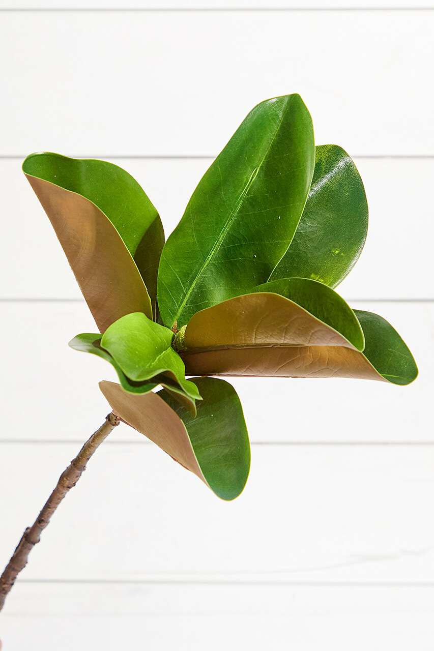 Magnolia Leaf Spray 23.5 Inch Christmas Decoration