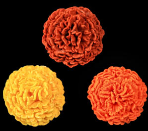 Marigold Flowers - Yellow, Orange & Rust - 32ct