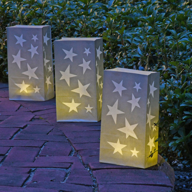 Maxon Paper Luminaria Bags, Silver Star - 24 Count