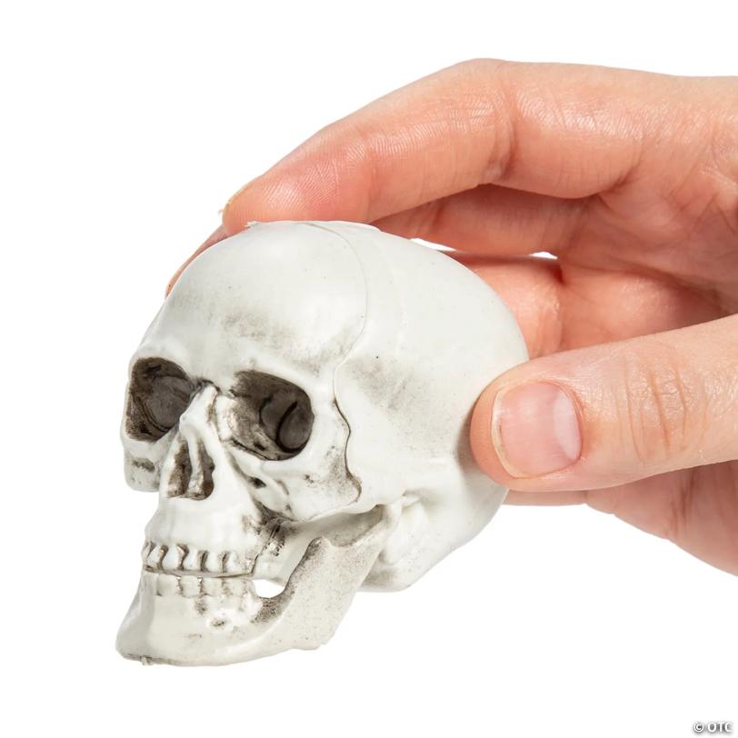 Mini Halloween Plastic Skull Head Decorations 2 1/2", 12 Pc.