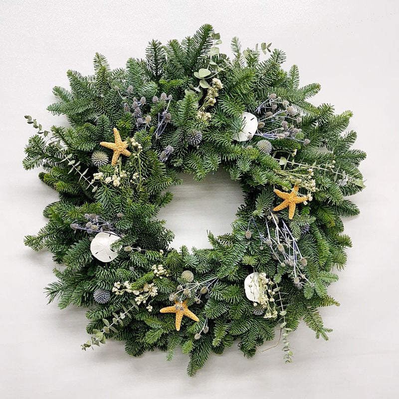 Natural Fresh Evergreens and Dried Flower Holiday Eryngium Sea Holly, Echinops, Eucalyptus, Starfish, and Sand Dollars Wreath