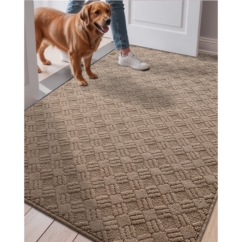Non-Slip Thin Indoor Doormat