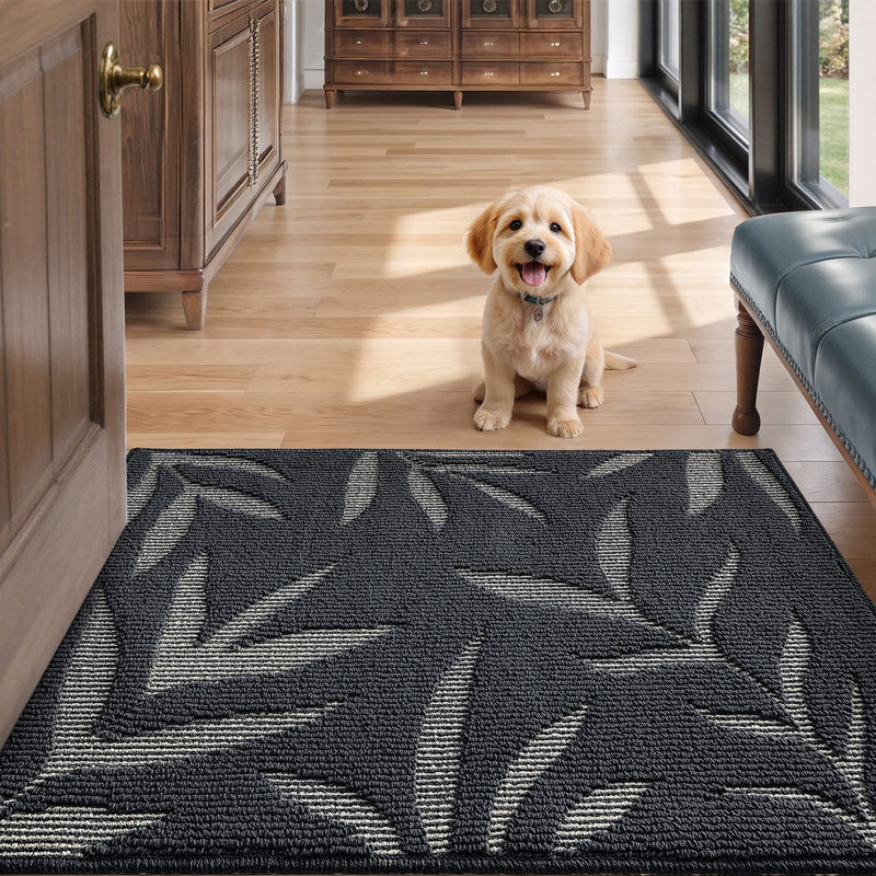 Non-Slip Washable Indoor Doormat