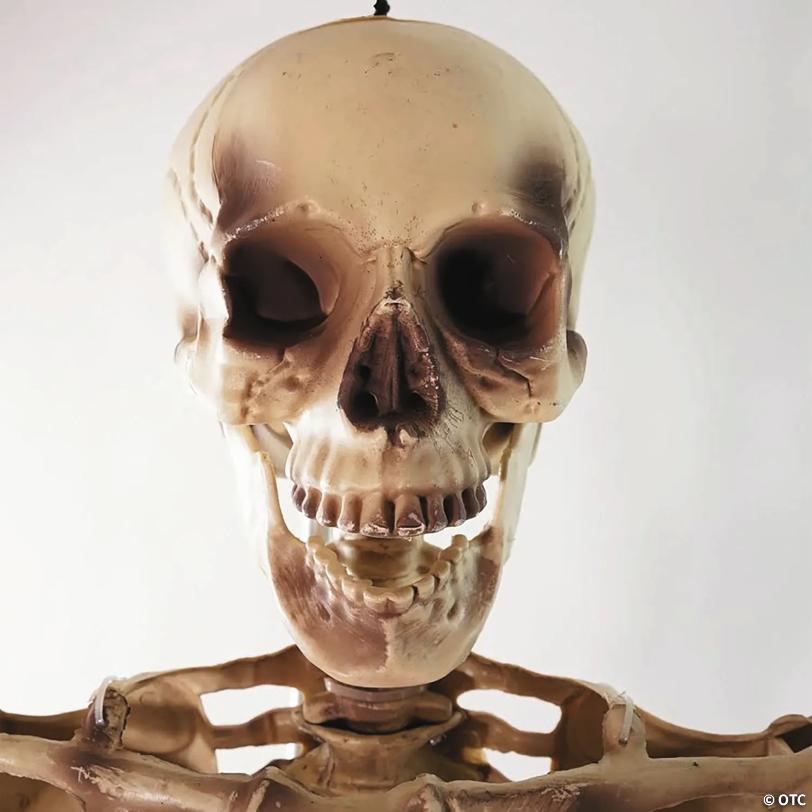 Northlight 5' Life Size Skeleton Halloween Decoration