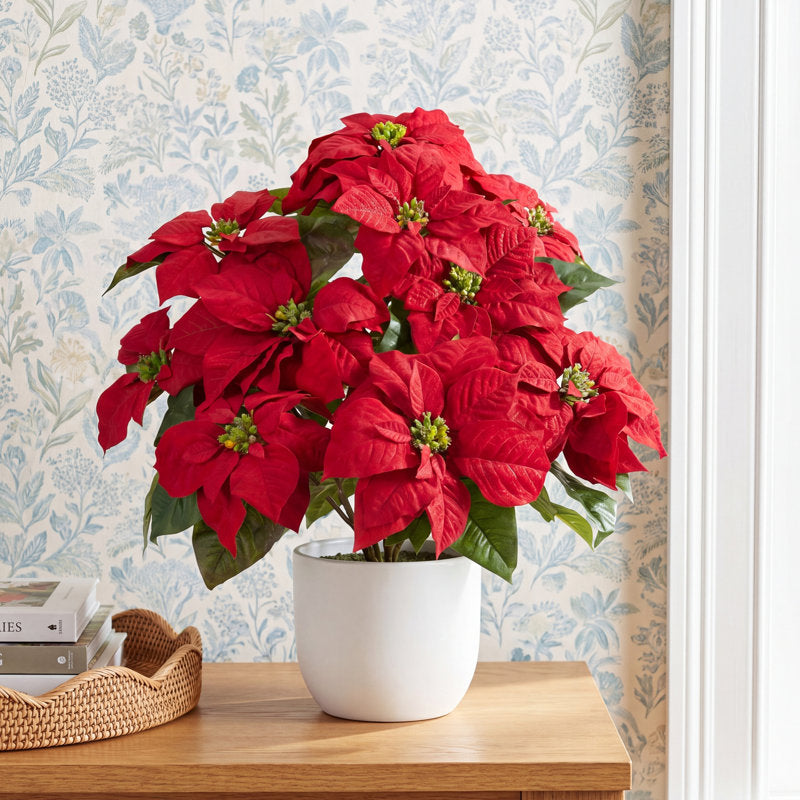 Poinsettia floral arrangement for Christmas
