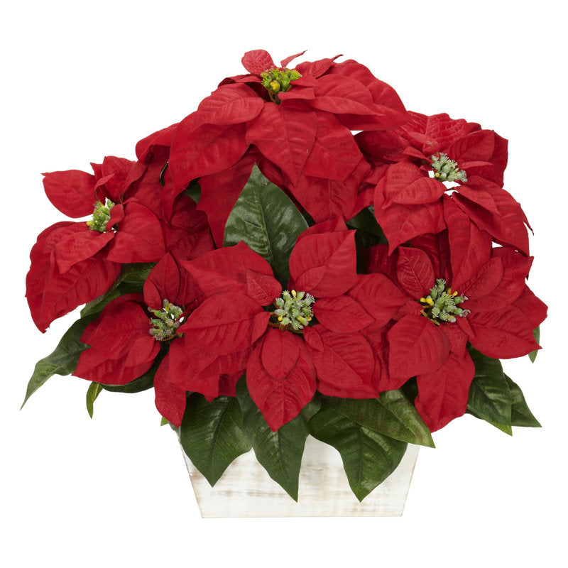 Poinsettia floral arrangements in planters