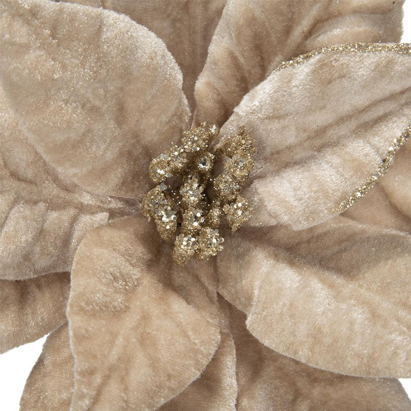 Set of twelve champagne artificial poinsettia stems