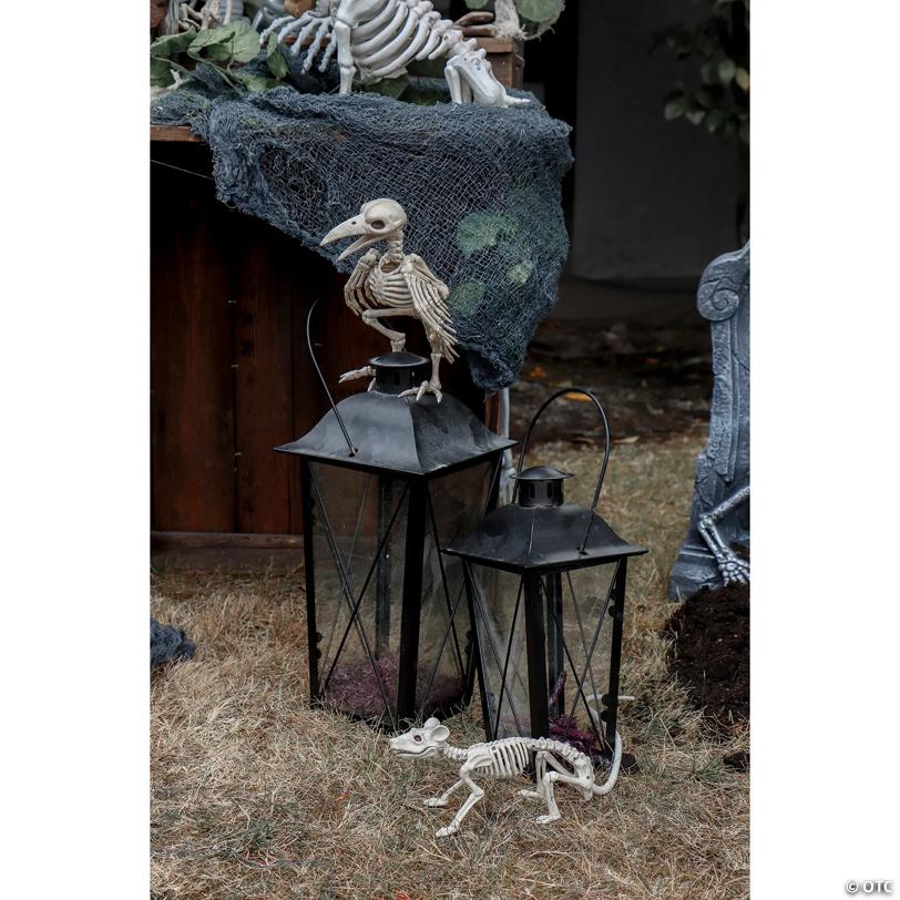 Raven Skeleton Halloween Decoration - 6 1/2