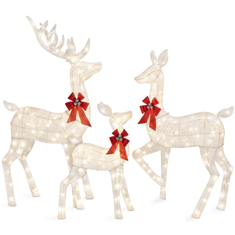 3-Piece Lighted Christmas Deer Family Set with LED Lights