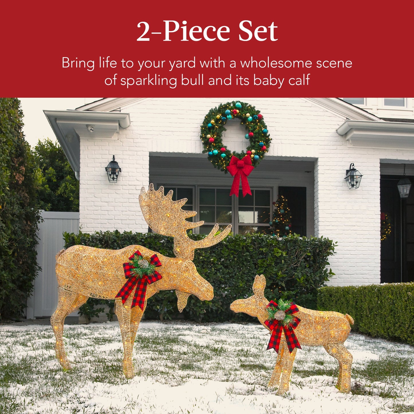 2-Piece Moose Family Lighted Outdoor Christmas Decoration Set with LED Lights