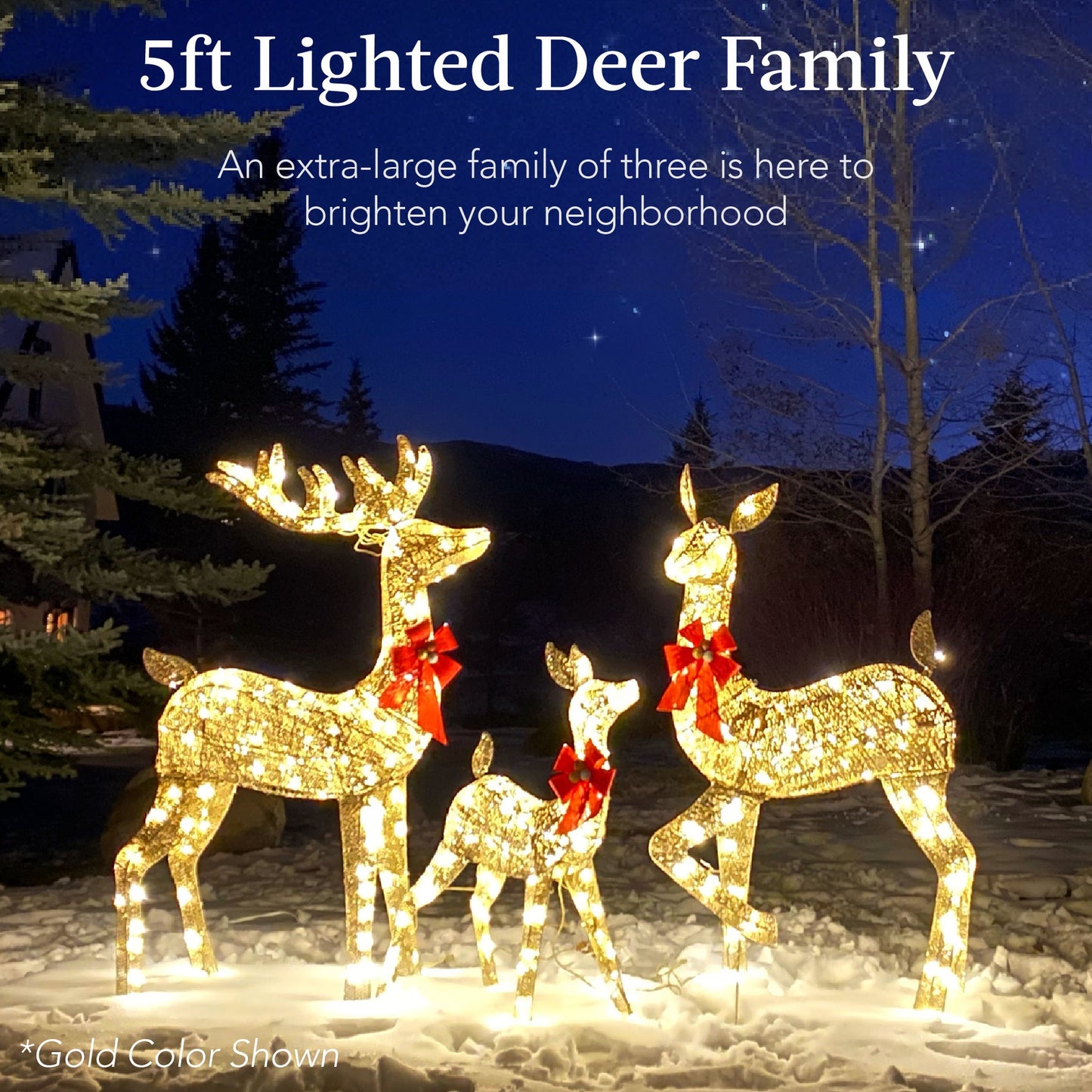 3-Piece Lighted Christmas Deer Family Set with LED Lights