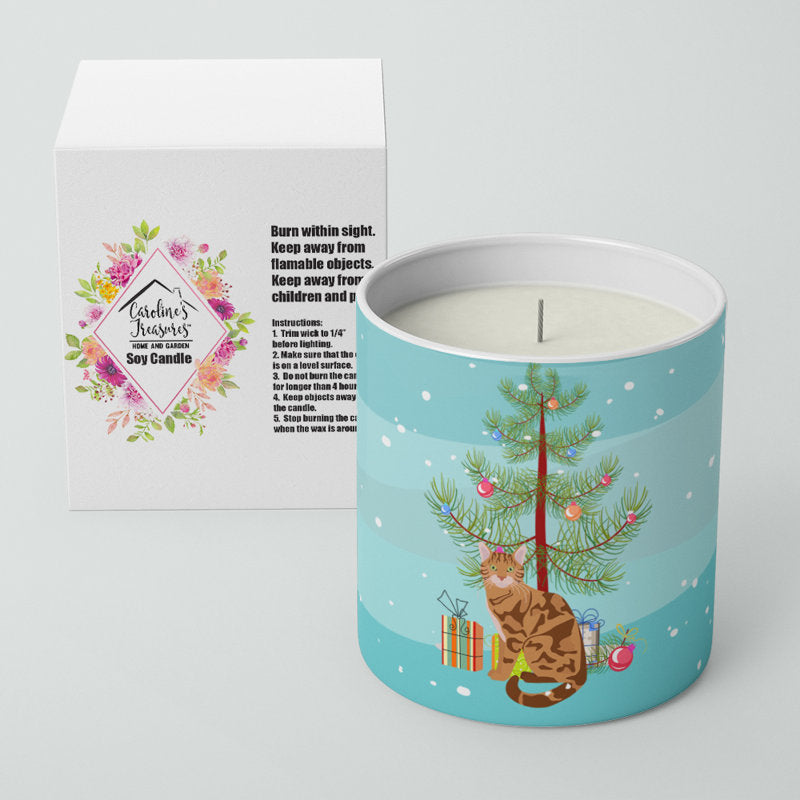 Pine / Christmas Tree Scented Jar Candle with Ceramic Holder