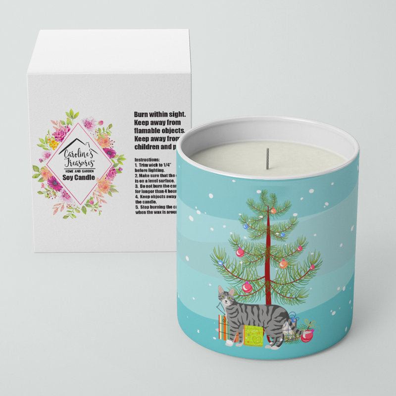 Pine / Christmas Tree Scented Jar Candle with Ceramic Holder