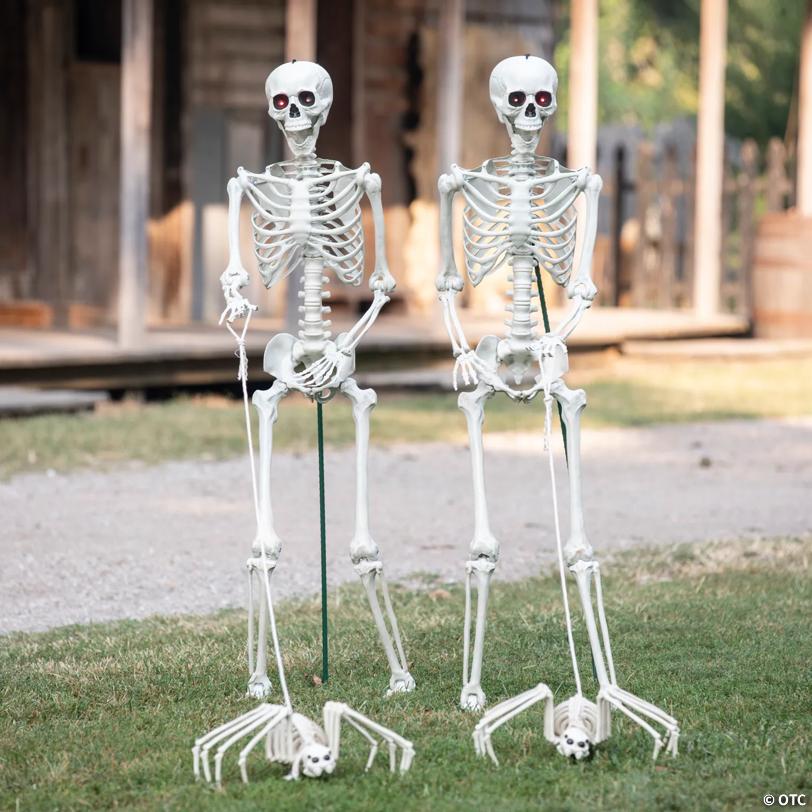 Skeletons Walking Pet Spiders Halloween Decorating Kit - 4 Pc.