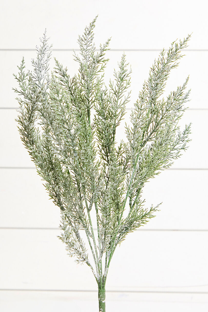 18" Snow Cedar Pine Bush for Frosted Holiday and Winter Decor
