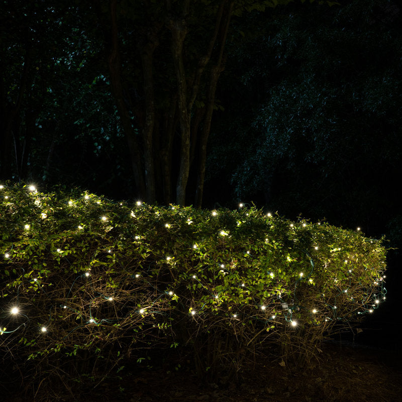 SoftTwinkle LED 70 Light Net Lights