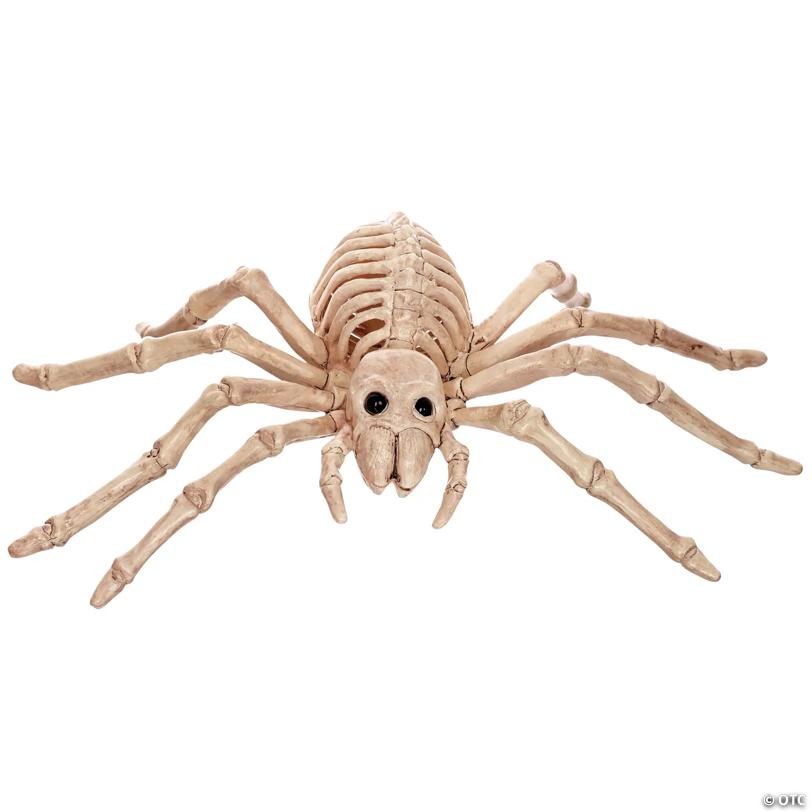 Spider Skeleton Halloween Decoration - 8