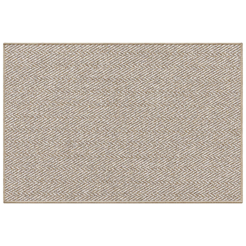 Thin Non-Slip Indoor Doormat