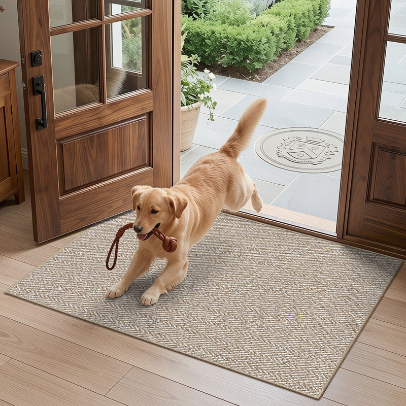 Thin Non-Slip Indoor Doormat