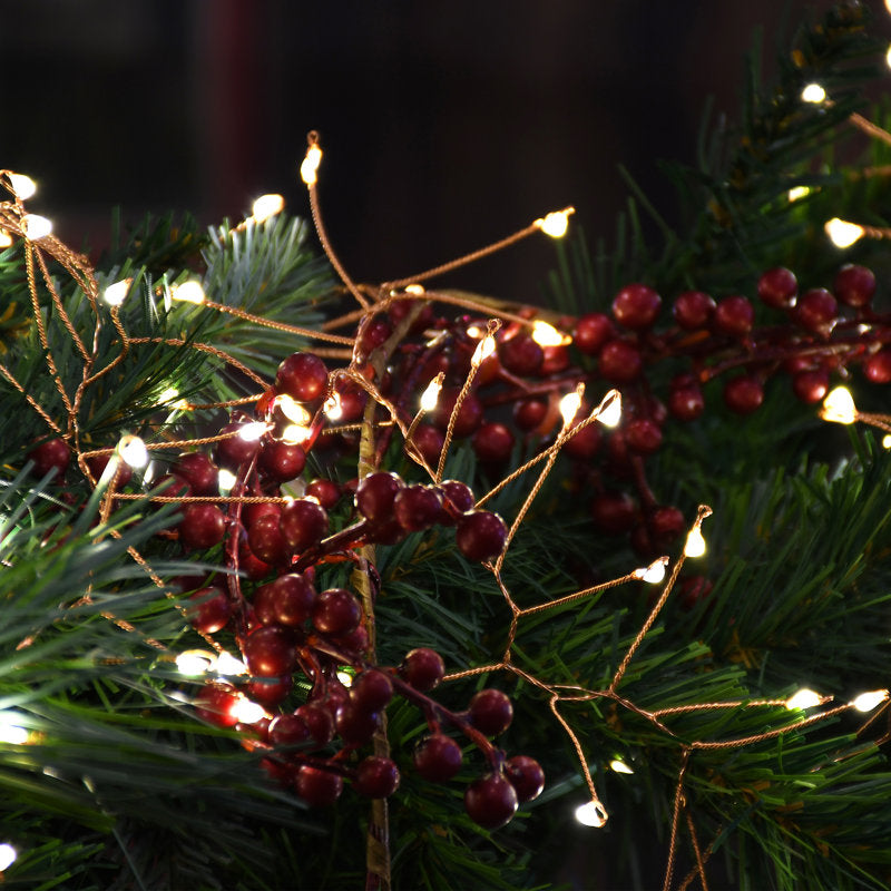 Widner 2'' String Lights