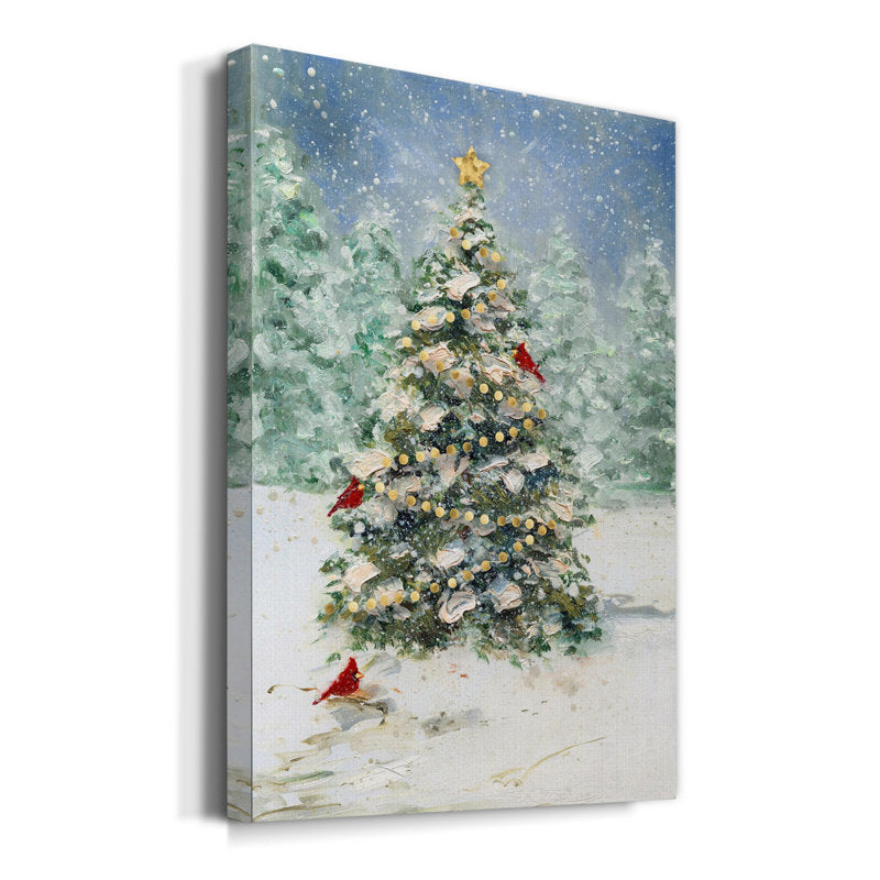 Zayden " Cardinals And Christmas "