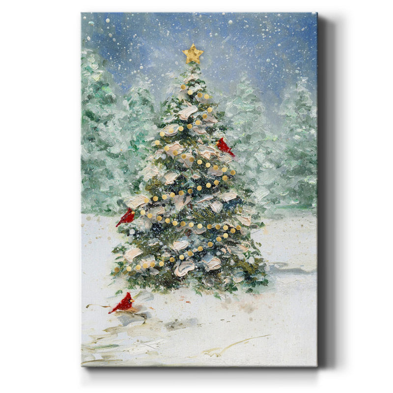 Zayden " Cardinals And Christmas "