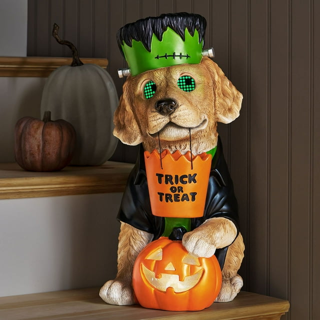 Member's Mark Pre-Lit Wonky Eye Character Decor | USA Decoration®