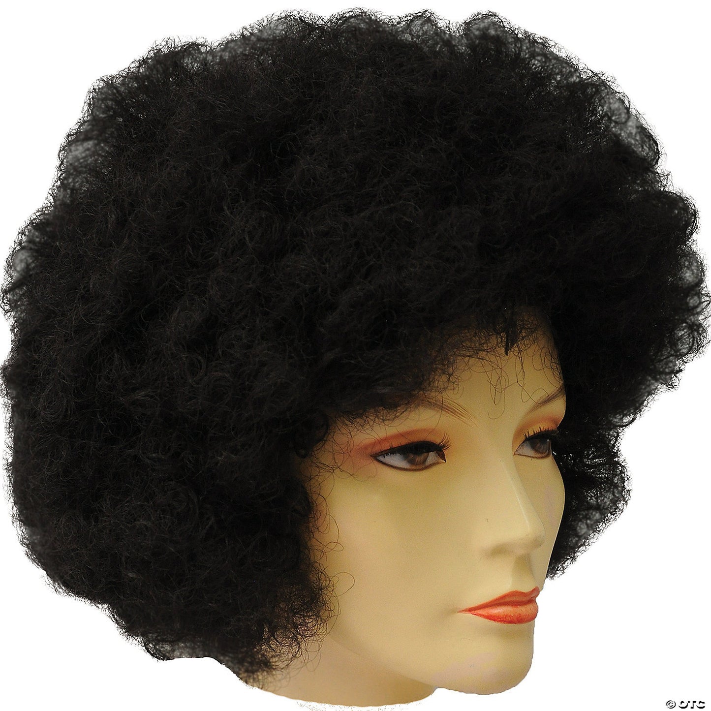 Adults Bargain Afro Wig