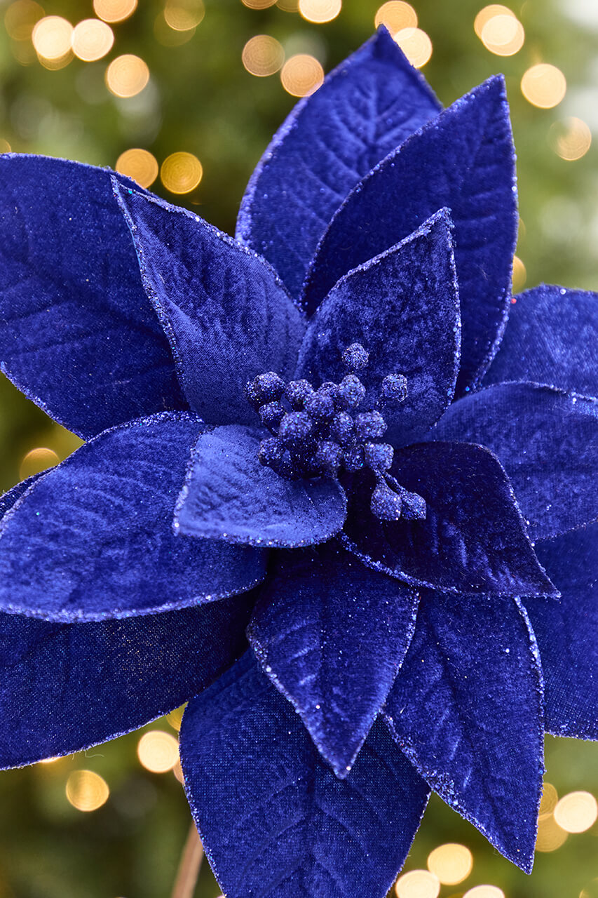 24" x 13" Royal Blue Poinsettia Stem