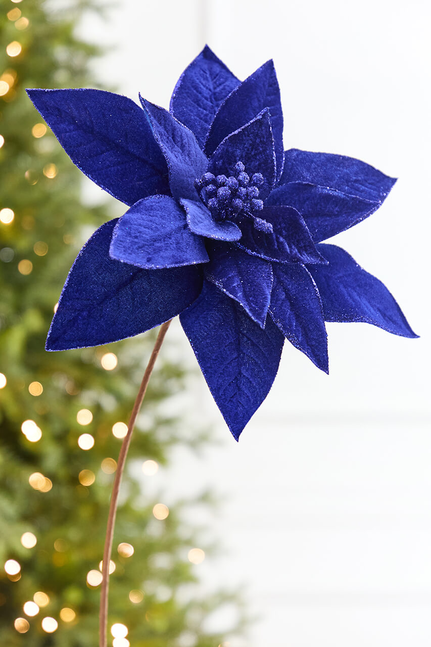 24" x 13" Royal Blue Poinsettia Stem