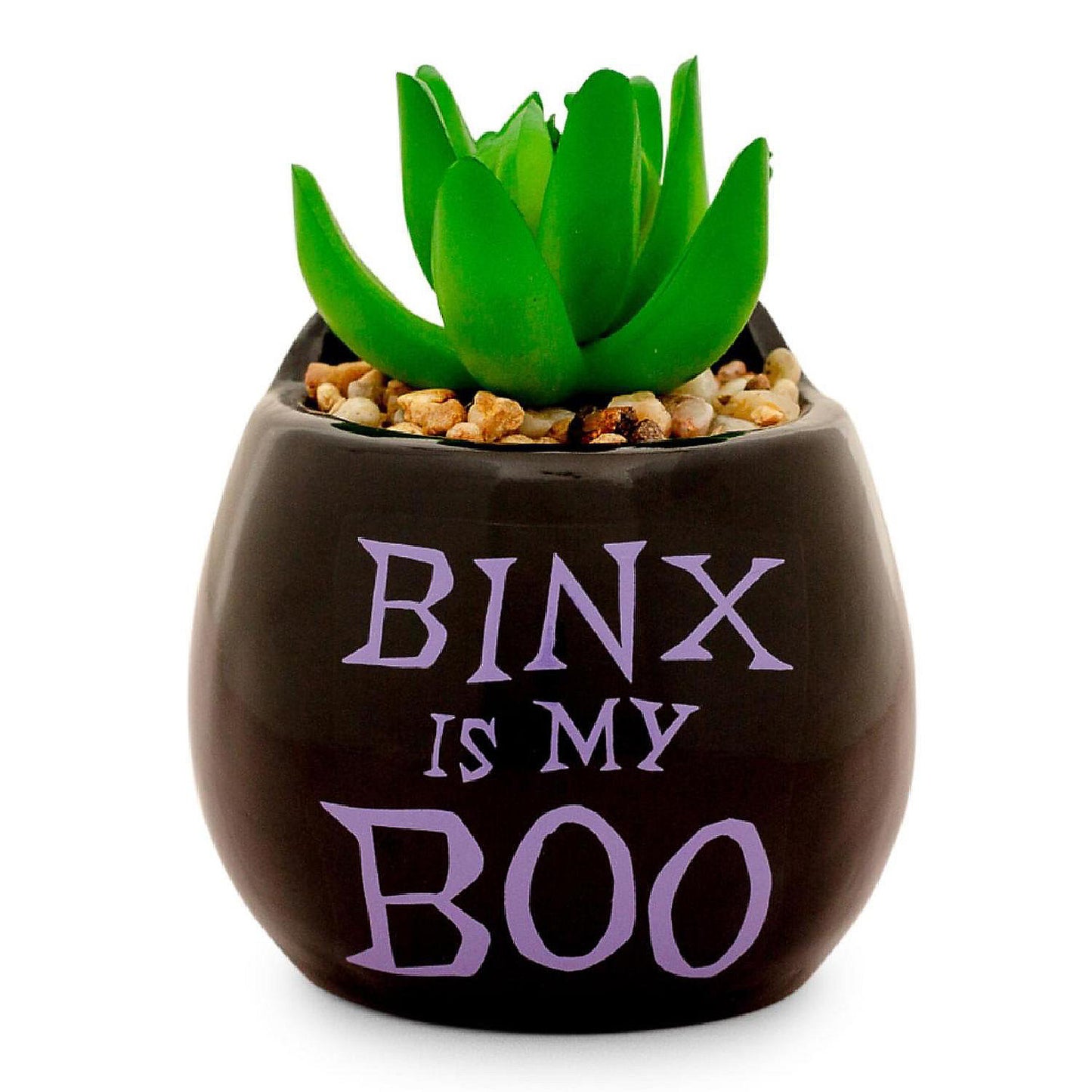 Disney Hocus Pocus "Binx Is My Boo" Ceramic Planter with Artificial Succulent | USA Decoration®