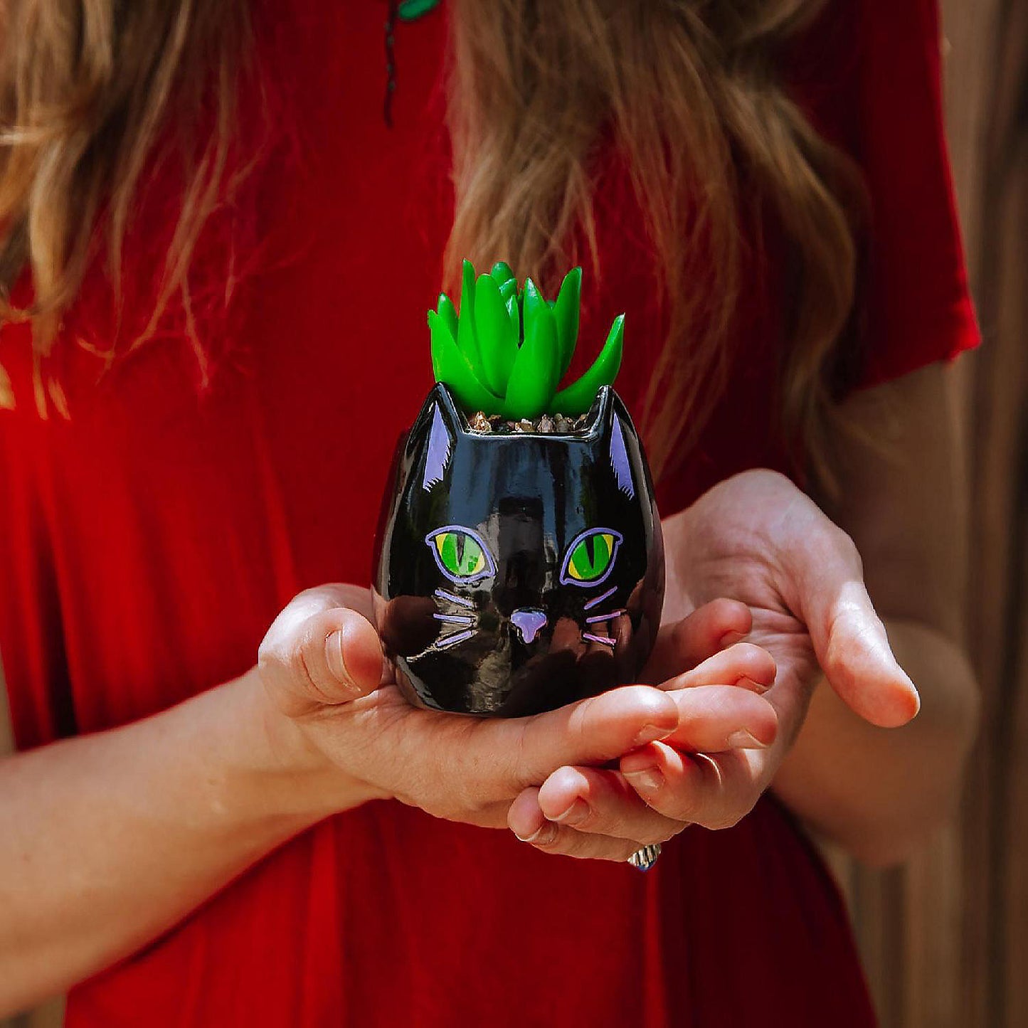 Disney Hocus Pocus "Binx Is My Boo" Ceramic Planter with Artificial Succulent | USA Decoration®