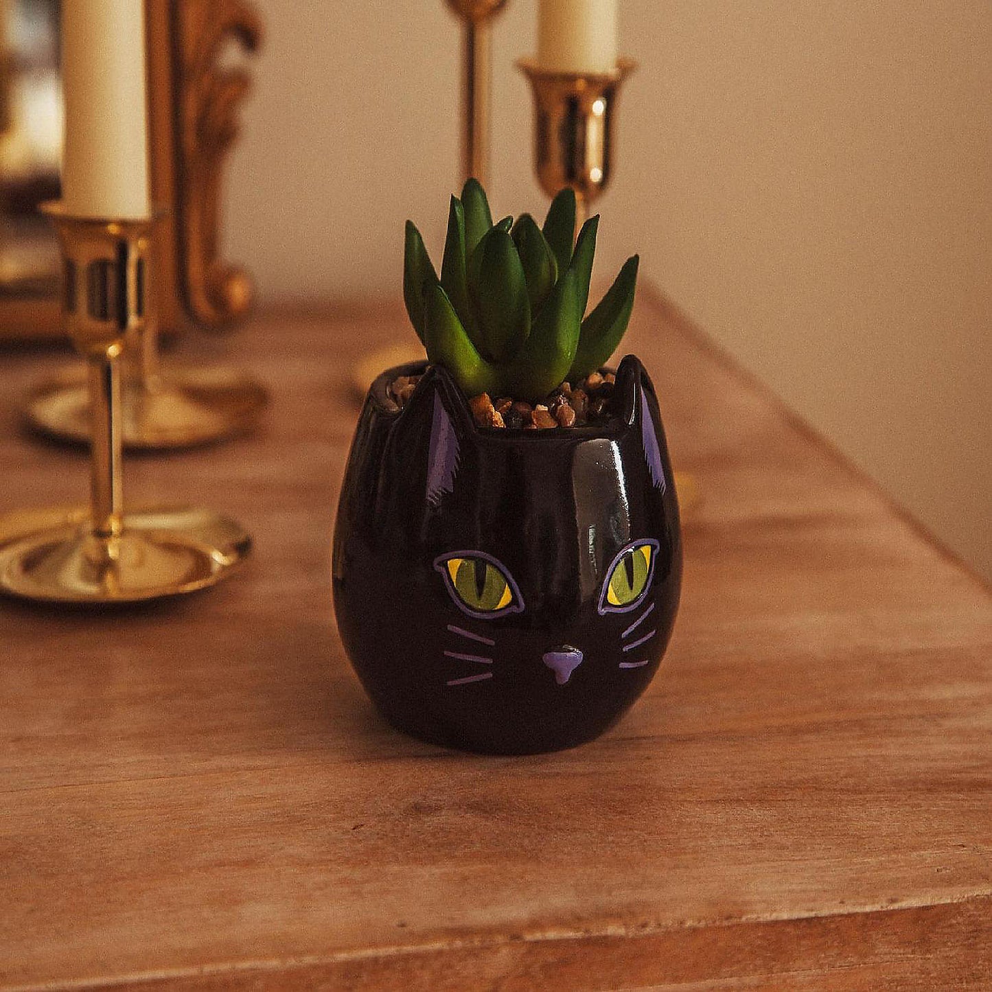 Disney Hocus Pocus "Binx Is My Boo" Ceramic Planter with Artificial Succulent | USA Decoration®