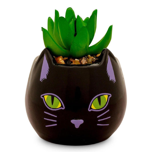 Disney Hocus Pocus "Binx Is My Boo" Ceramic Planter with Artificial Succulent | USA Decoration®