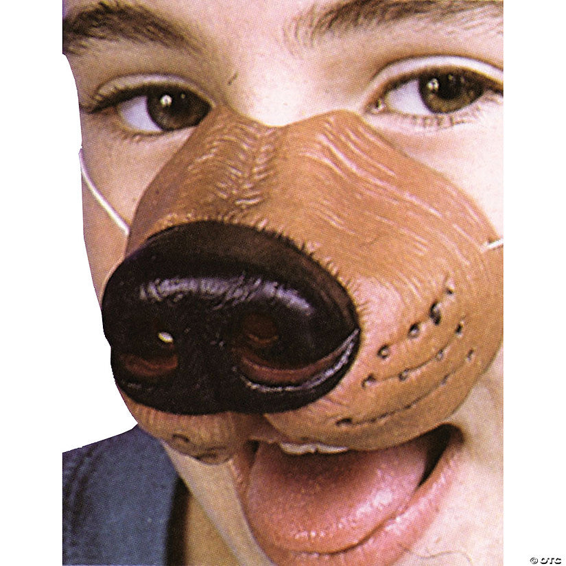 Dog Nose
